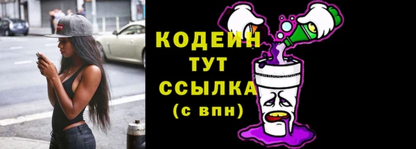 дурь Краснослободск