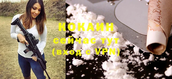 дурь Краснослободск