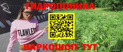 крисы Краснокаменск