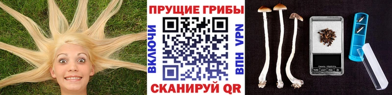 Псилоцибиновые грибы Magic Shrooms  Лениногорск 
